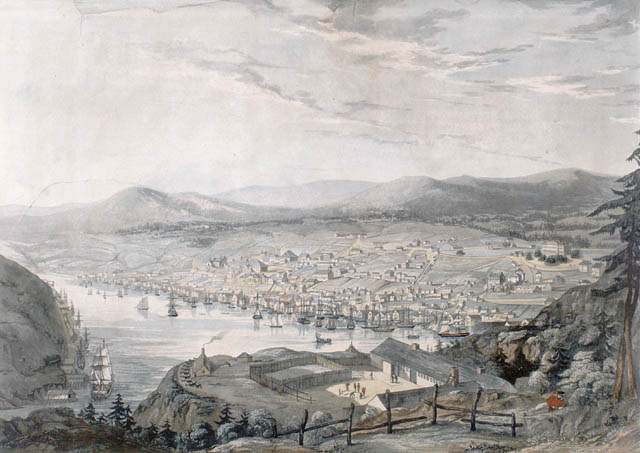 The Town and Harbour of St. John's, 1831 (Artist unknown) Library and Archives Canada, Acc. No. 1989-520-6